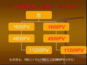 十二生肖模式系统开发 天津软件开发的创新实践与应用探索